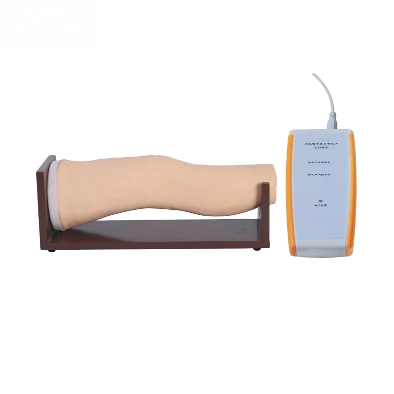 YX/L72 Knee Intravenous Injection Model Puncture Palpation Simulated Bursa