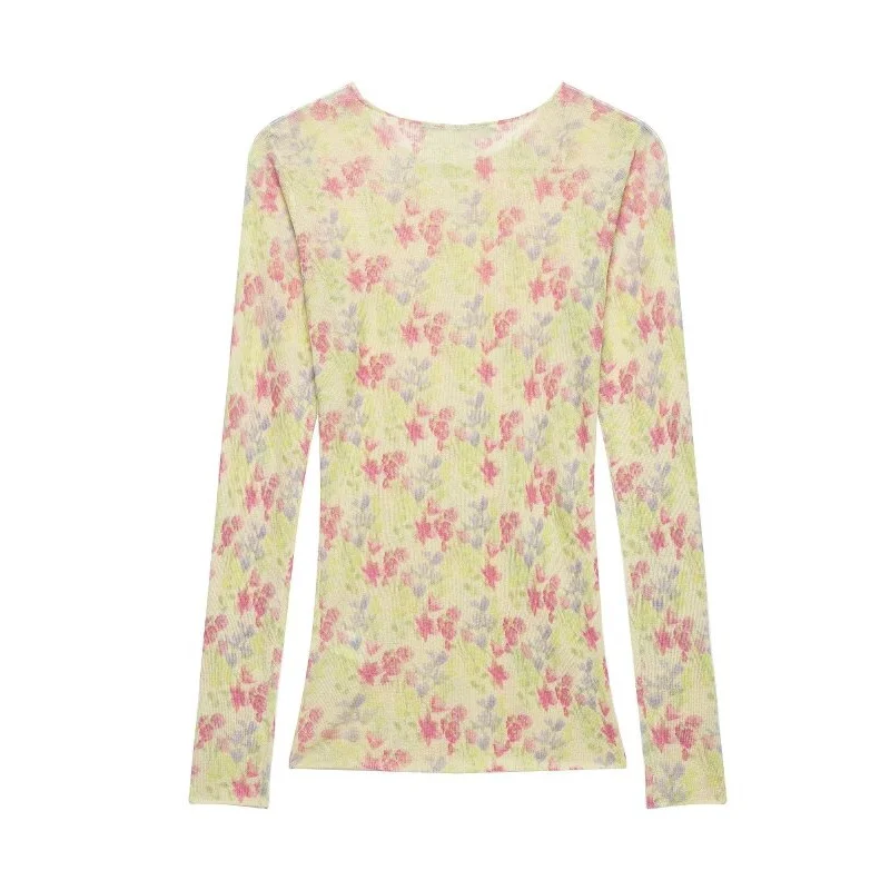 Women's Spring Y2K Retro Crew Neck Sheer Mesh Knit Floral Print Slim Long Sleeve Top, Streetwear, Ideal for Jeans and Daily