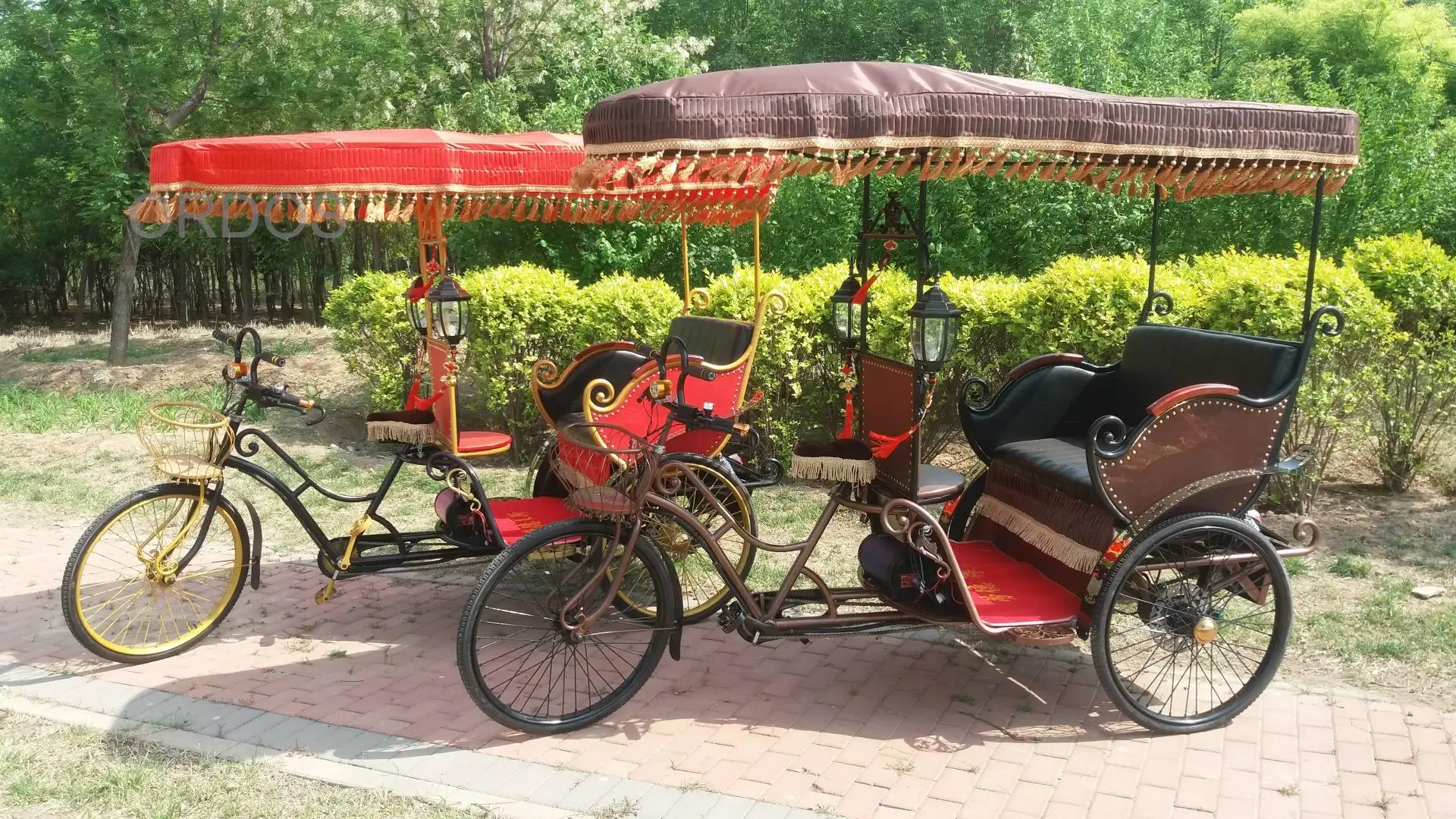 Electric tricycle for passenger sightseeing tuktuk rickshaw touring for historical city  royal wedding horse drawn carts