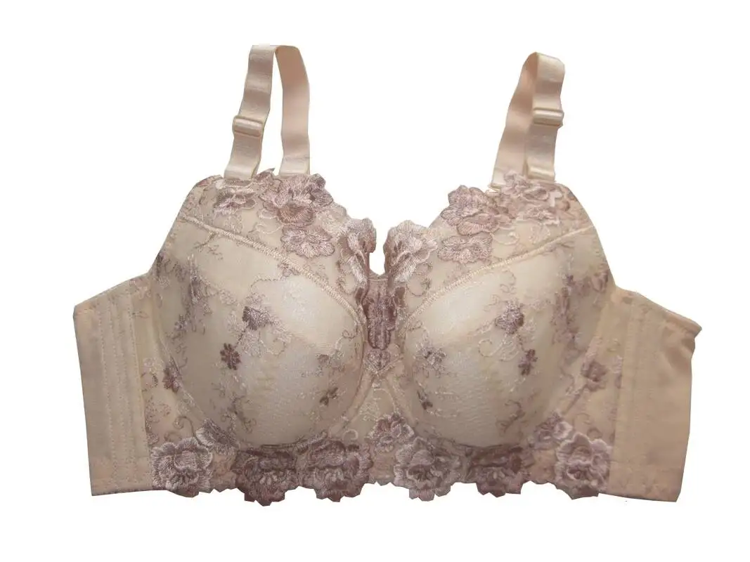Ladies Bh Sexy Push Up Bra Underwear Women Brasier Mujer Embroidered Bra Lingerie Intimates 34 36 38 40 42 46 48 C D E F G H