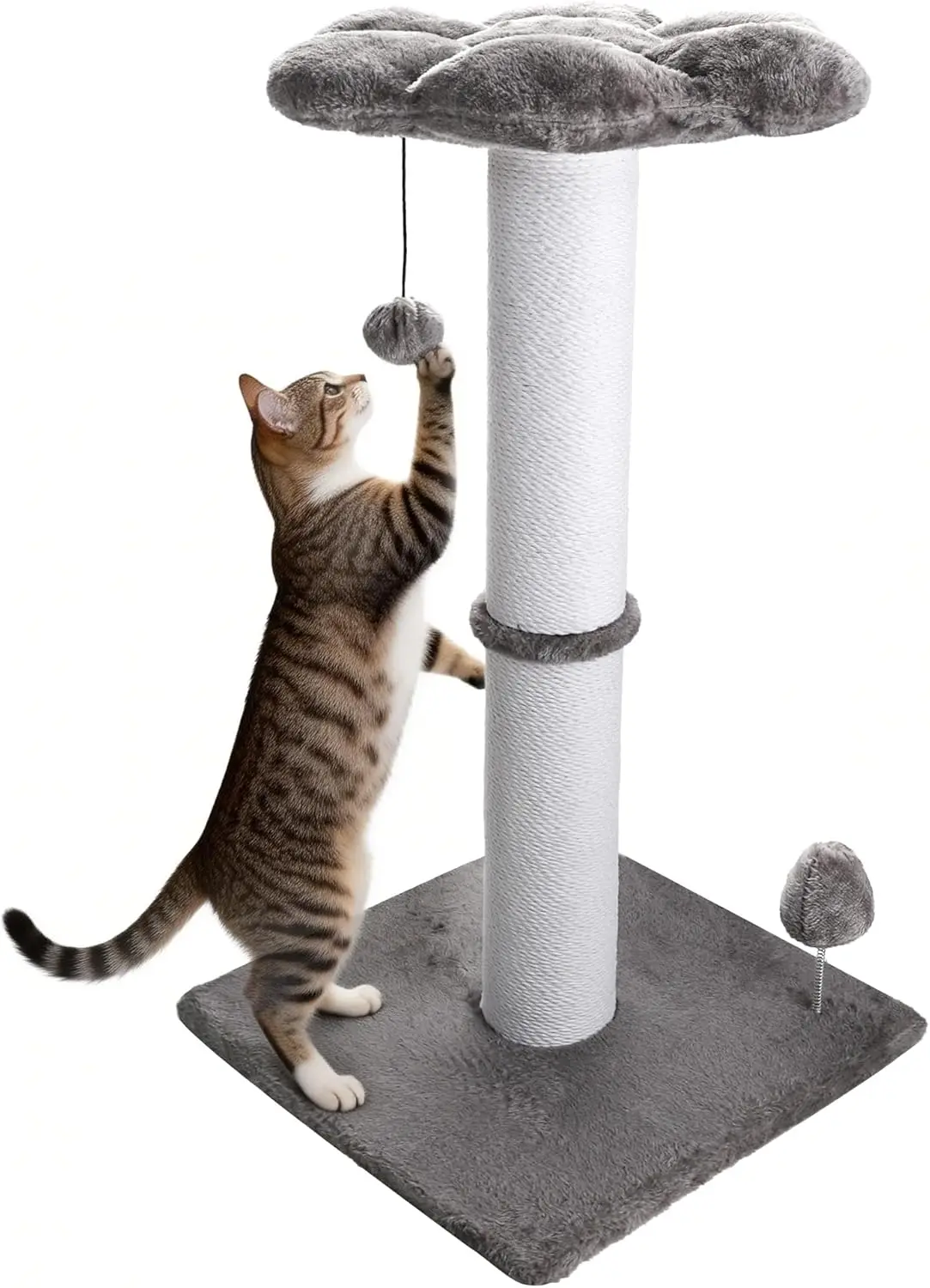 

Heavy Duty Cat Scratching Post 30 Inch Cotton Rope Cats Scratcher with Flower Cat Perch & Hanging Ball for Indoor Cats T
