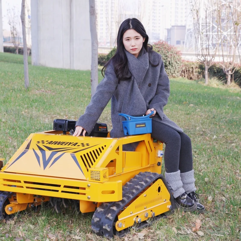 Customized Mechanical Lawn Mower Petrol Self Propelled Rotary Grass Mower Manual Auxiliary Garden Lawn Mower hammer flail mower