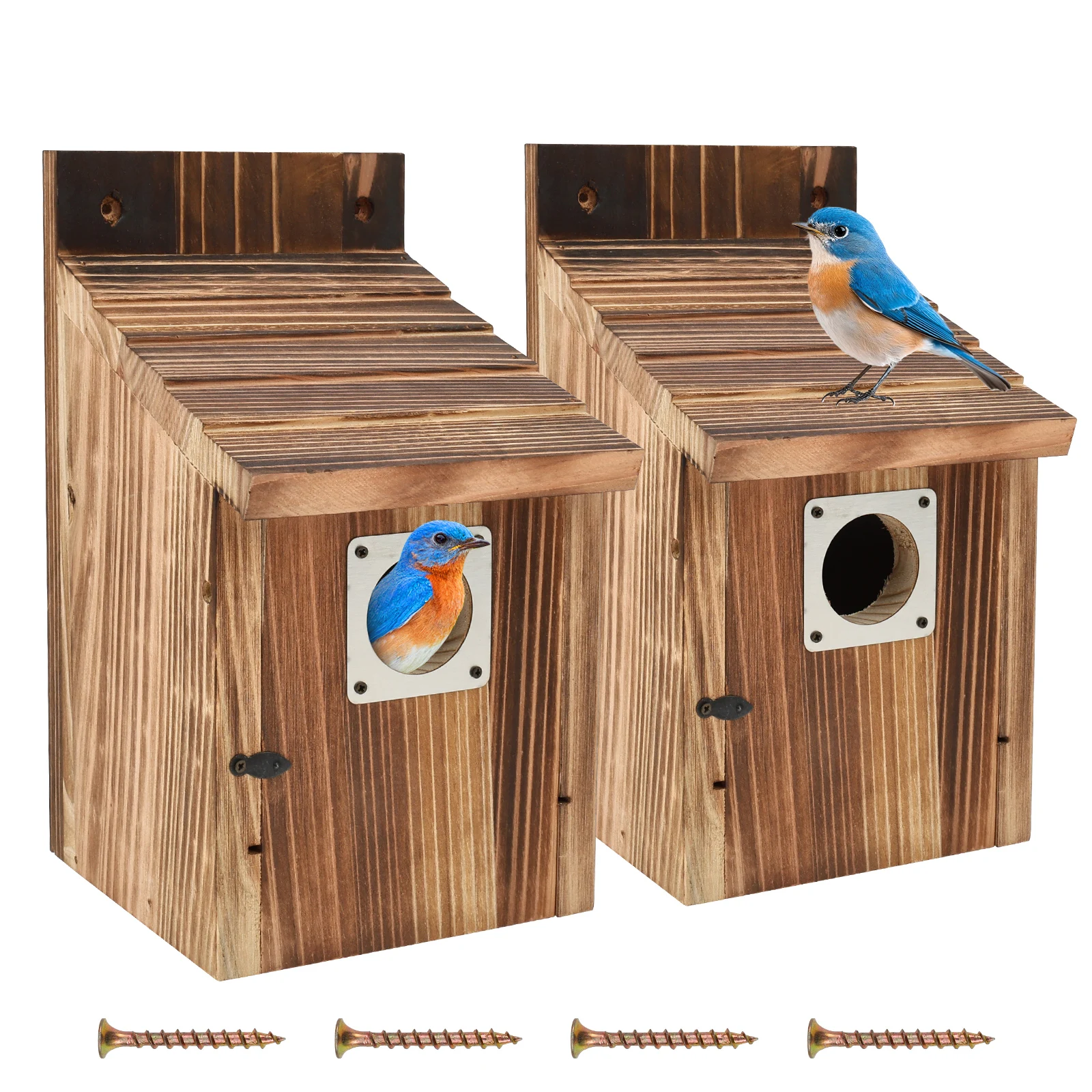 #15 Compare Birdhouses Before You Buy