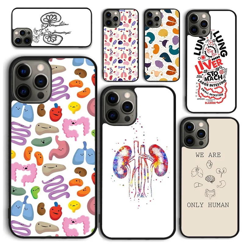 Medical Human Organs Brain Kidney Art Phone Case for iPhone 16 15 14 12 13 PLUS X XS XR 11 PRO MAX Back Cover Fundas