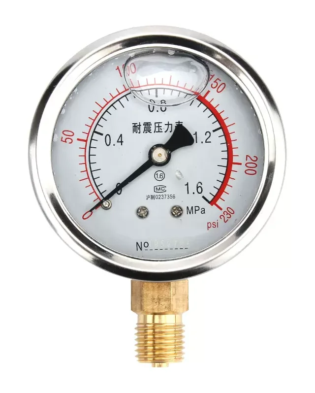 Radial pressure gauge vacuum negative pressure gauge stainless steel shock-resistant pressure gauge