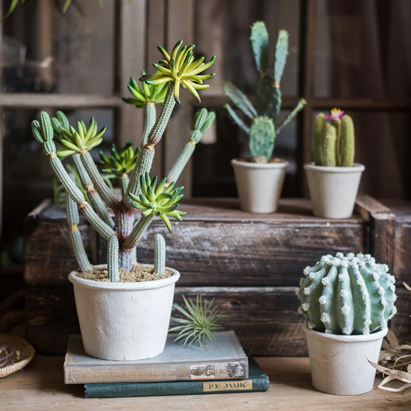 Plantas artificiales de Cactus bonsái, plantas falsas con maceta, adornos en maceta para sala de estar, dormitorio, accesorios para el hogar, decoración