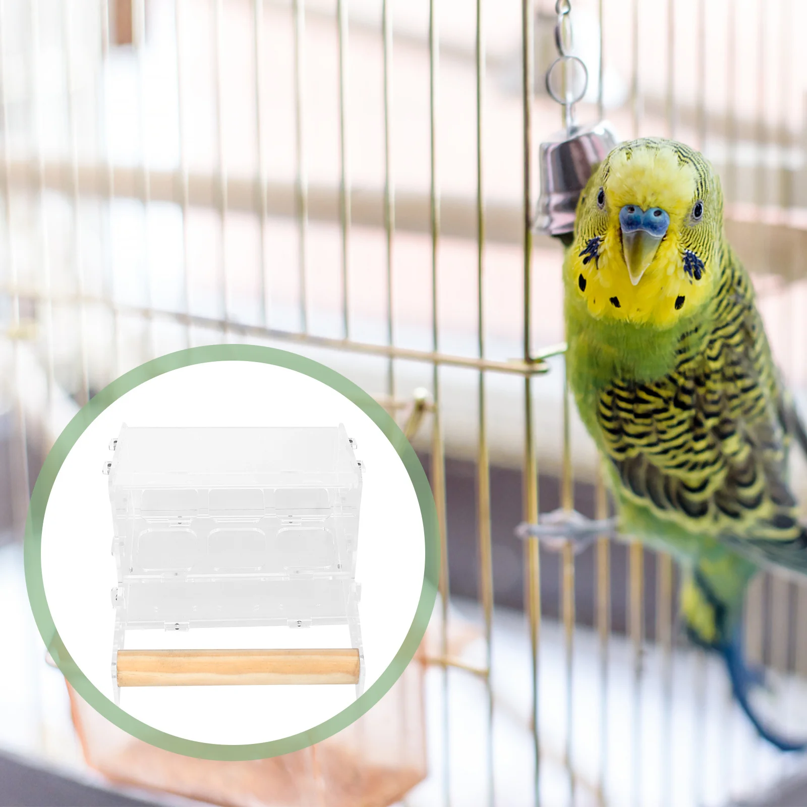 

6-Grids Acrylic Hanging Parrot Bird Feeder Food Box Cage Accessory Foraging Feeding Stand Bird Feeder Parrot Food Box