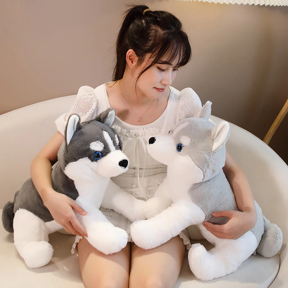 

Cute Husky Dog Doll Stuffed Plush Toy Boy Birthday Gift