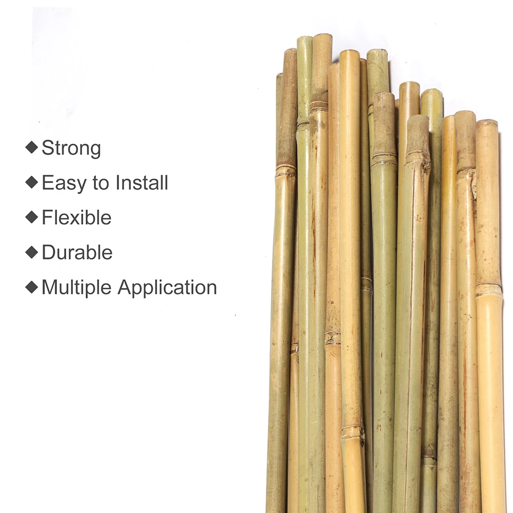 2 ft. x 5/16 in. Natural Bamboo Eco-Friendly Garden Plant Stakes for Climbing Support (100-Pack)