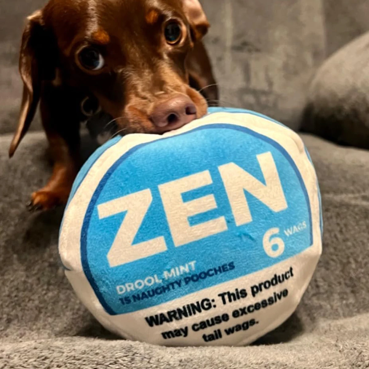 Zen Pupper Deckies Parodie Hundespielzeug – Plüsch quietschendes und knuspriges lustiges Hundespielzeug – Sabbern Mint – Detail 3