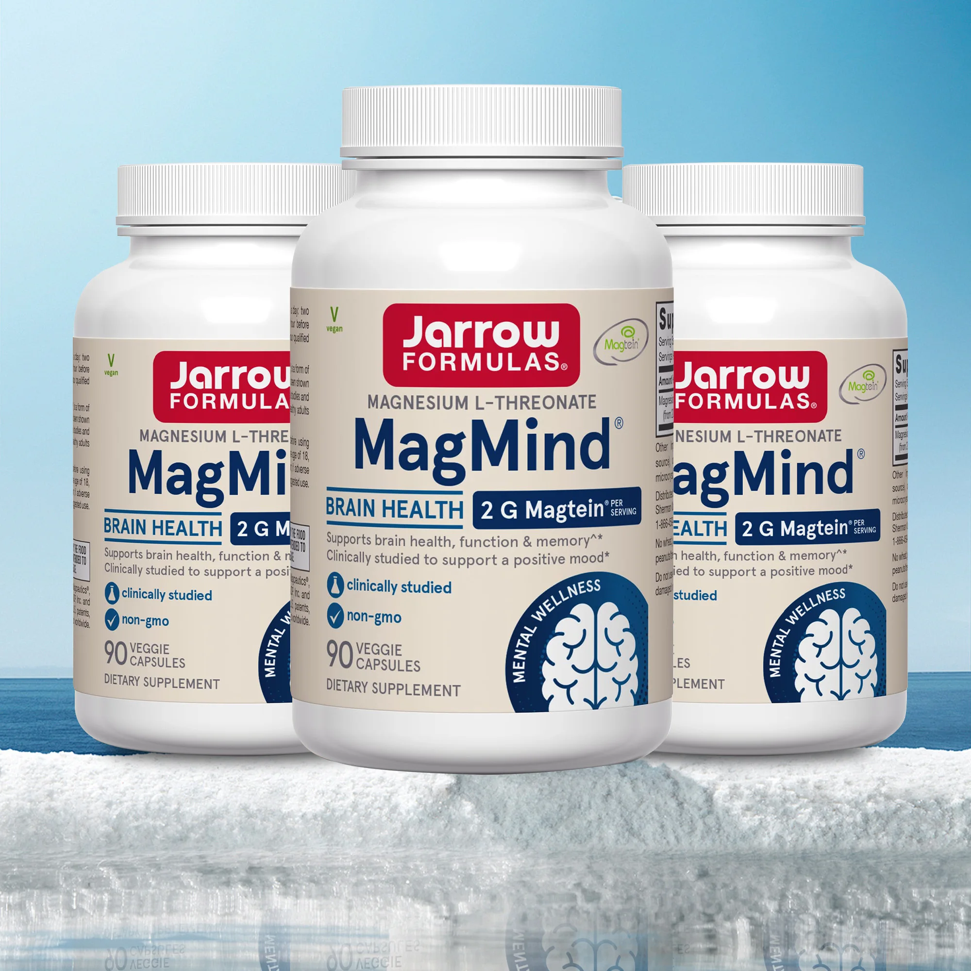 

Brain Supplement - Premium Nootropic Brain Supplement - Good for Focus, Concentration and Memory