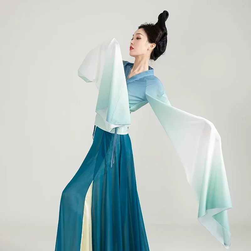 Chinese Folk Dance Water Sleeve Yangko Oriental Dance Costumes Female Umbrella Dance Clothing Elegant Fan Performance