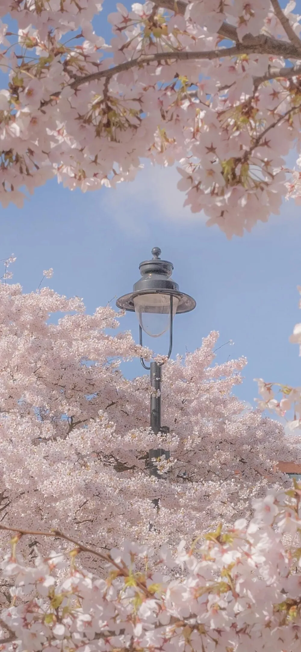 4 PCS RC Amortecedor Amortecedores dianteiros e traseiros de alumínio para Trxs 1/18 4WD TRX4M Peças de atualização