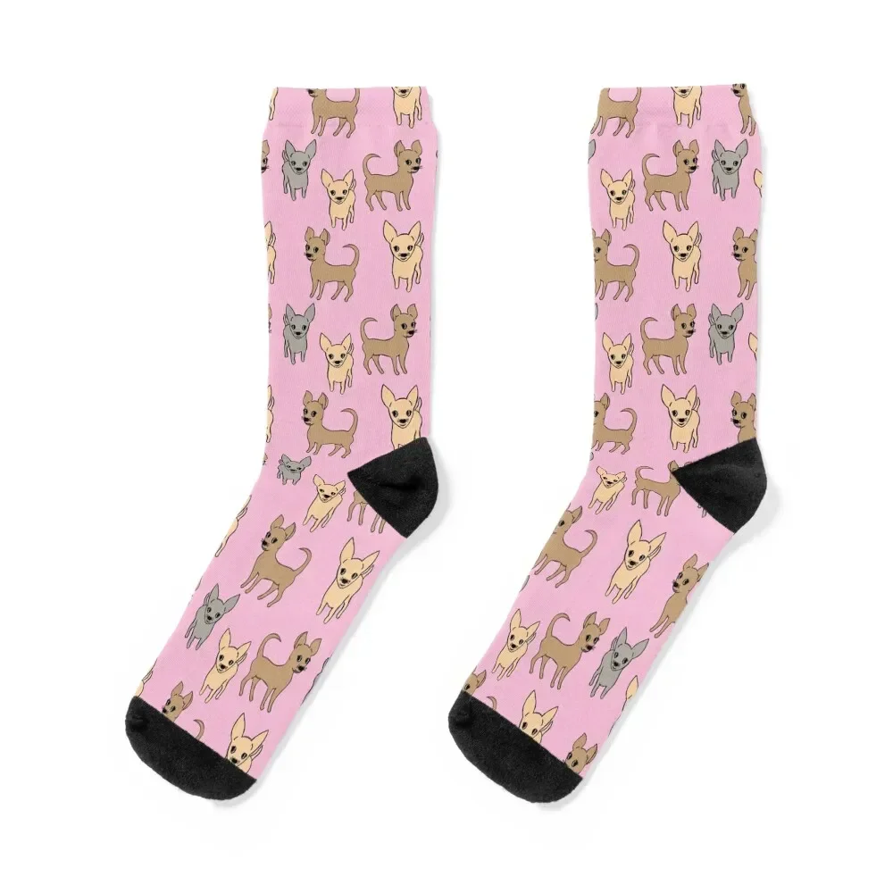 Chihuahua chihuahuas - pink Socks christmas gift christmass gift Woman Socks Men's