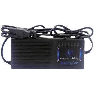 Automatische Freisetzung 48 V 60V 72V 32AH 35AH 40A Elektromaton Ladegerät Schnelllad 60W 32A 40A für PV -Systeme 8 Hauptumsatzbatterien 72V 32AH - №2