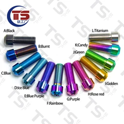 TS Titanium Factory GR5 Motorcycle Modification Positive and Negative Wire Small Cylinder M10X20/25/70mm