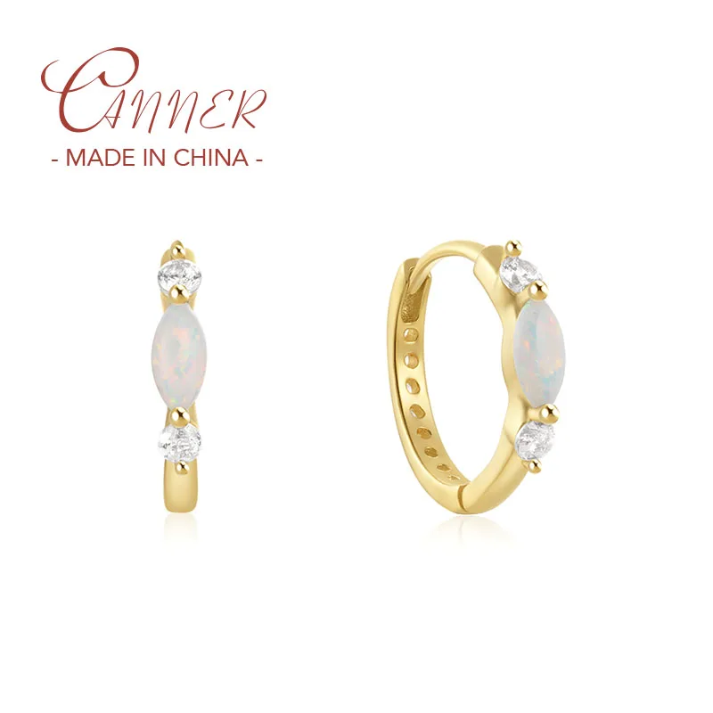 CANNER S925 Sterling Silver Mini Opal Zircon Hoop Earrings dla kobiet Klamra do uszu Drobna biżuteria Prezent Pendientes oorbellen Серьги