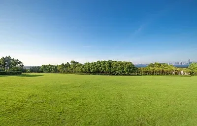 

RC 137*50mm 2.2 inch Soft Rubber Tire for 1/10 Axial SCX10 90046 TRX4 D90 D110 RR10 Wraith RC Crawler Car Upgrade Tyres