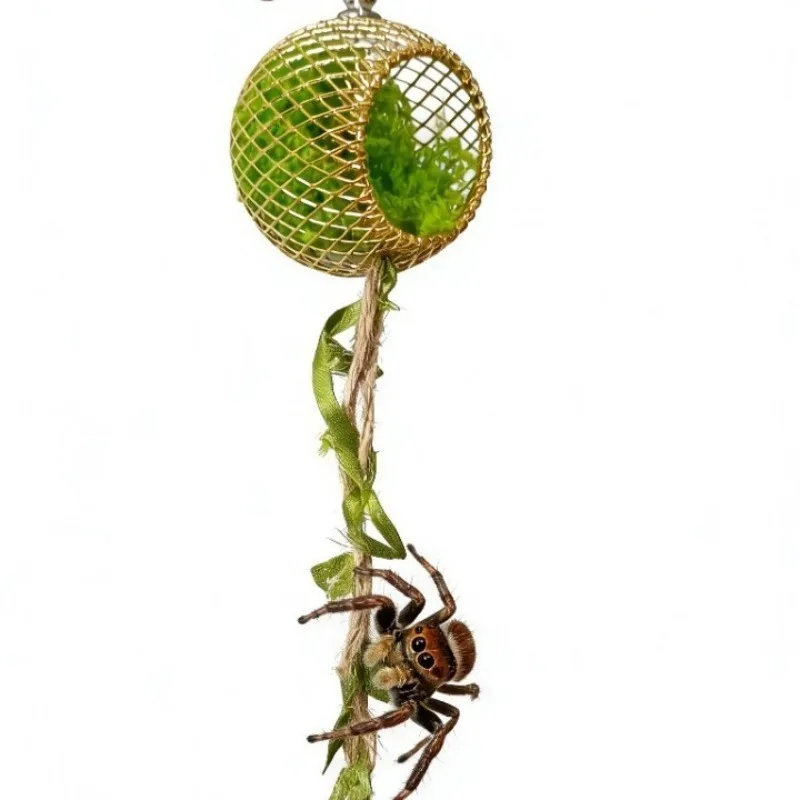 

Magnetic Acrylic Hide Box Habitat Decor for Jumping Spiders Arboreal Geckos Small Lizards Tree Hole Design Climbing Vines