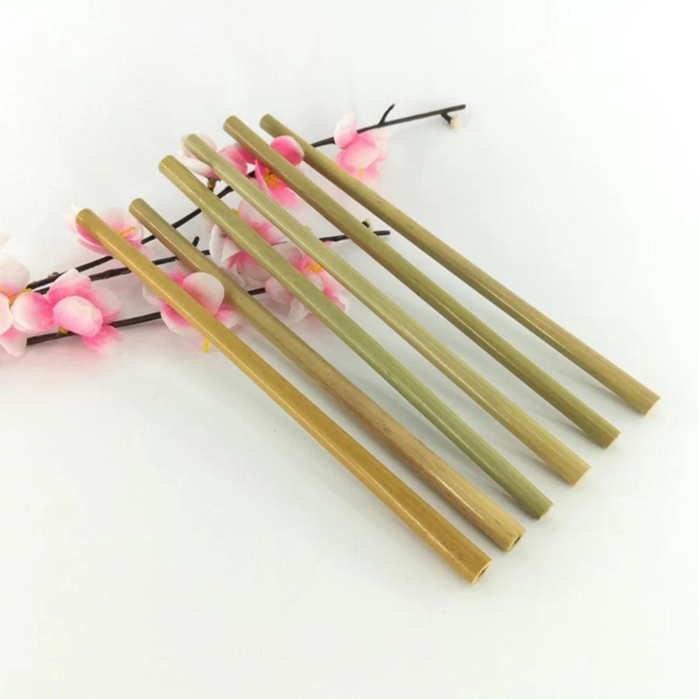 

22Pcs Bamboo Straw Set Biodegradable Reusable Strong Eco Friendly Plastic Straw Alternative for Kids Adults