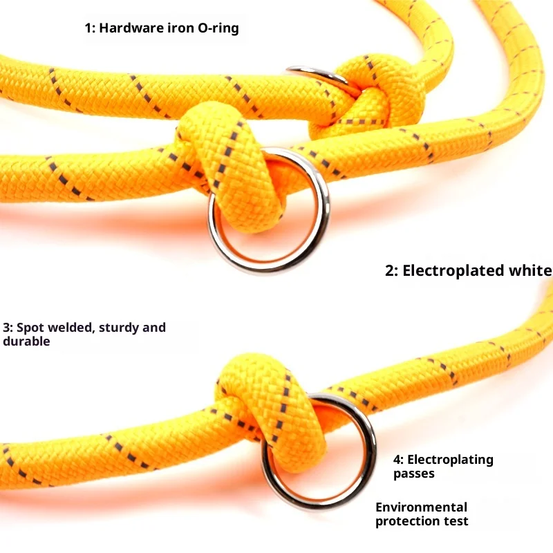 

Cross-Border New Nylon One-To-Two Pet Round Rope Multi-Functional Dog Leash Outdoor Large Dog Walking Rope Dog Chain