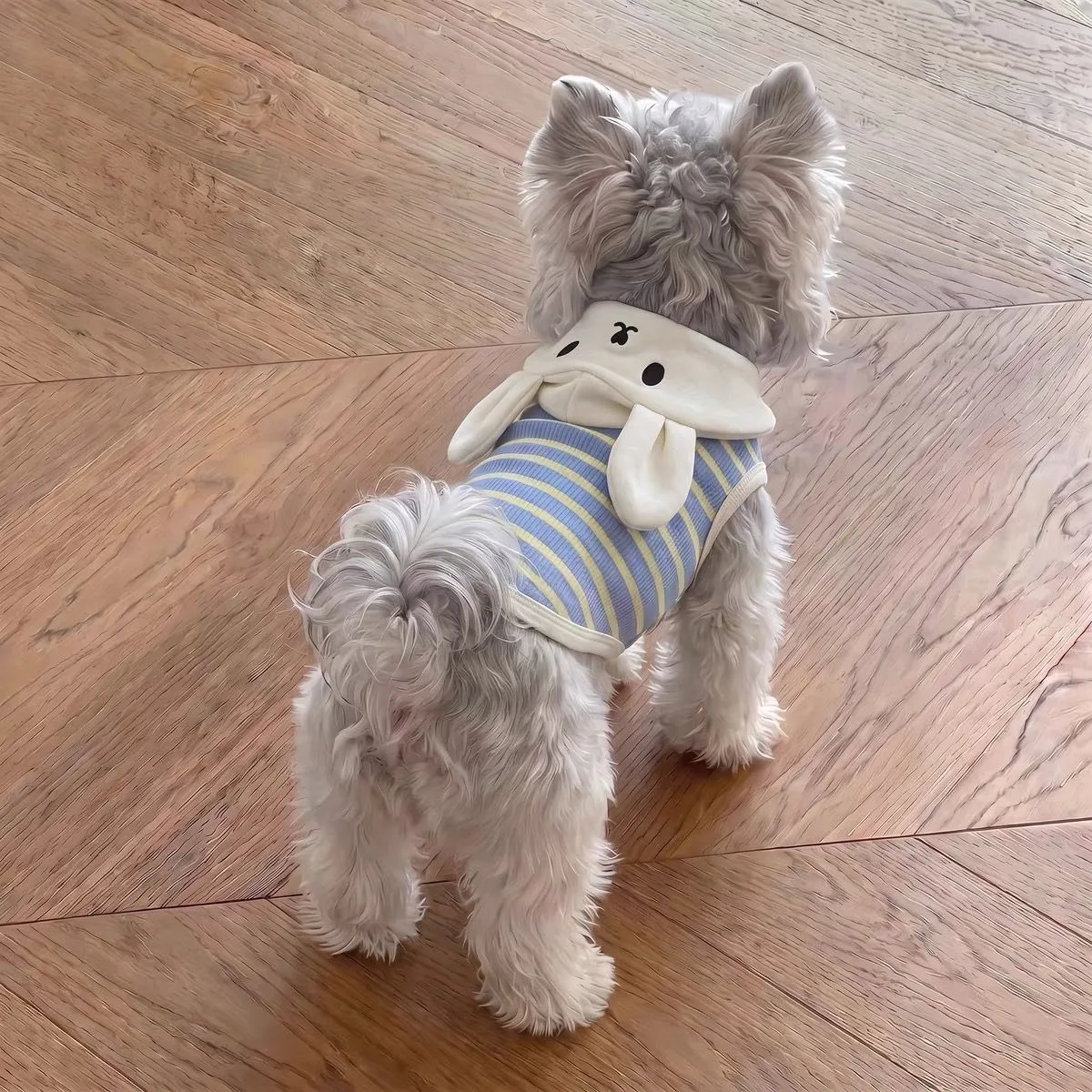 Classic Striped Dog T-Shirt for Small Breeds (Schnauzer, Yorkie) - Cute Cartoon Short Sleeve Summer Pet Apparel