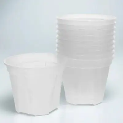 

10Pcs Transparent Control Root Pots Clear Plastic for Herbs Flowers Cactus Nursery Pots for Home Garden Decoration