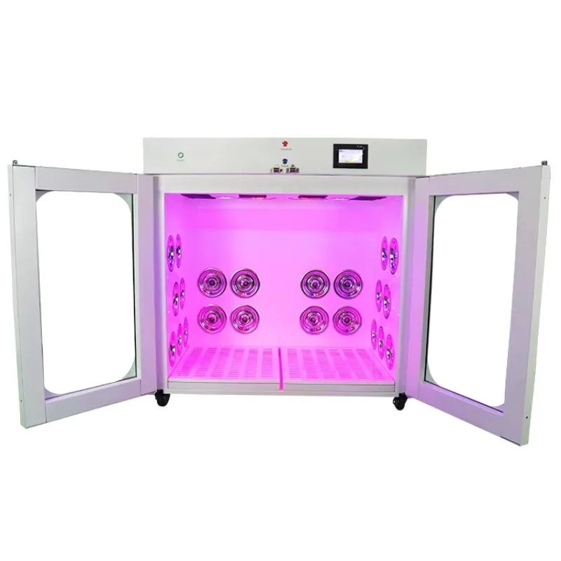 EUR PET Hot Selling Clinic Equipment New Design 3500W Automatic Pet Drying Room For 2 Middle Dogs Or 1 Large Dog