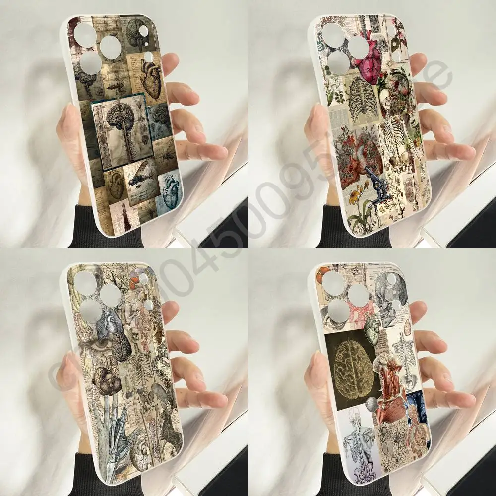 

Human Anatomy Biology Medicine Physiology Phone Case For iPhone 11,16,15,14,13,17,12,Plus,E,Air,Mini,Pro,Max Magnetic Magsafe