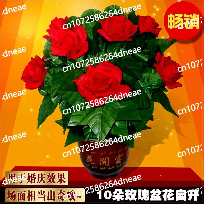 Magic R & D pot flower self-blooming 10 roses remote control wedding wishing tree slow flowering magic props