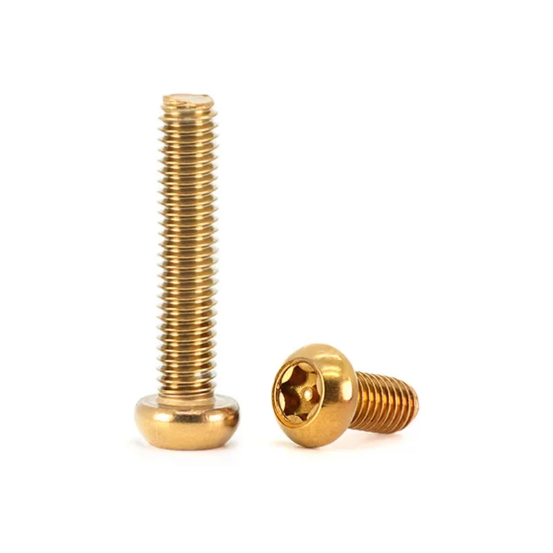 2Pcs 304 Stainless Steel Golden Torx Button Head Security Bolts M5 M6 Length 8~35mm Motorcycle Modification Anti-Vandal Screws