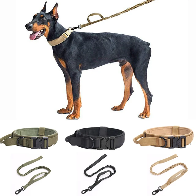 Doberman diamond collar best sale