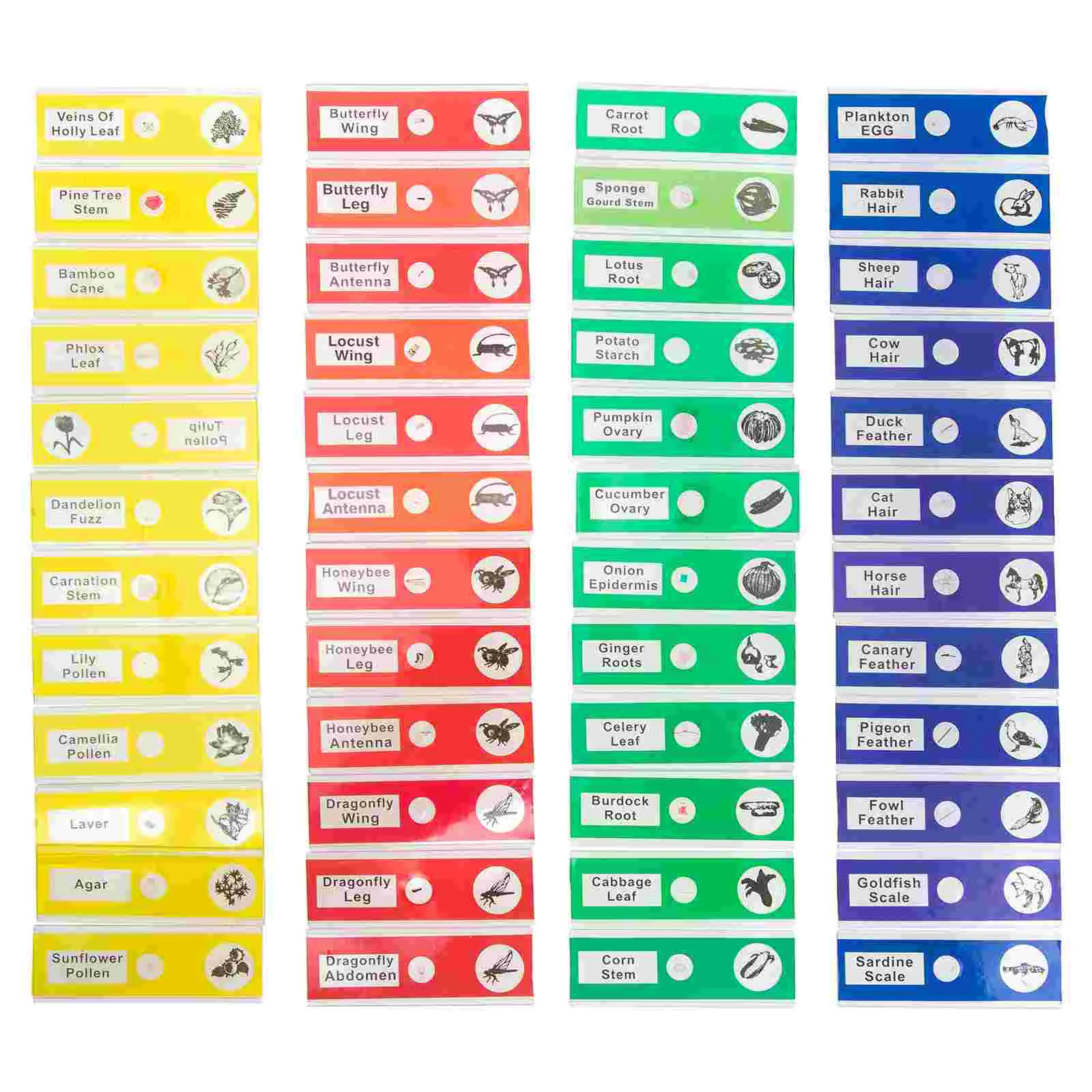 

48 Pcs Sample Biological Specimen Slice Child Plant Labels Abs Plastic Microscope Slides