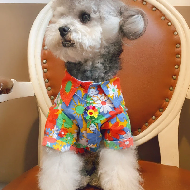 Одежда для домашних животных, летняя рубашка с тонким рисунком котенка и щенка, Тедди Шнауцер Bigbear