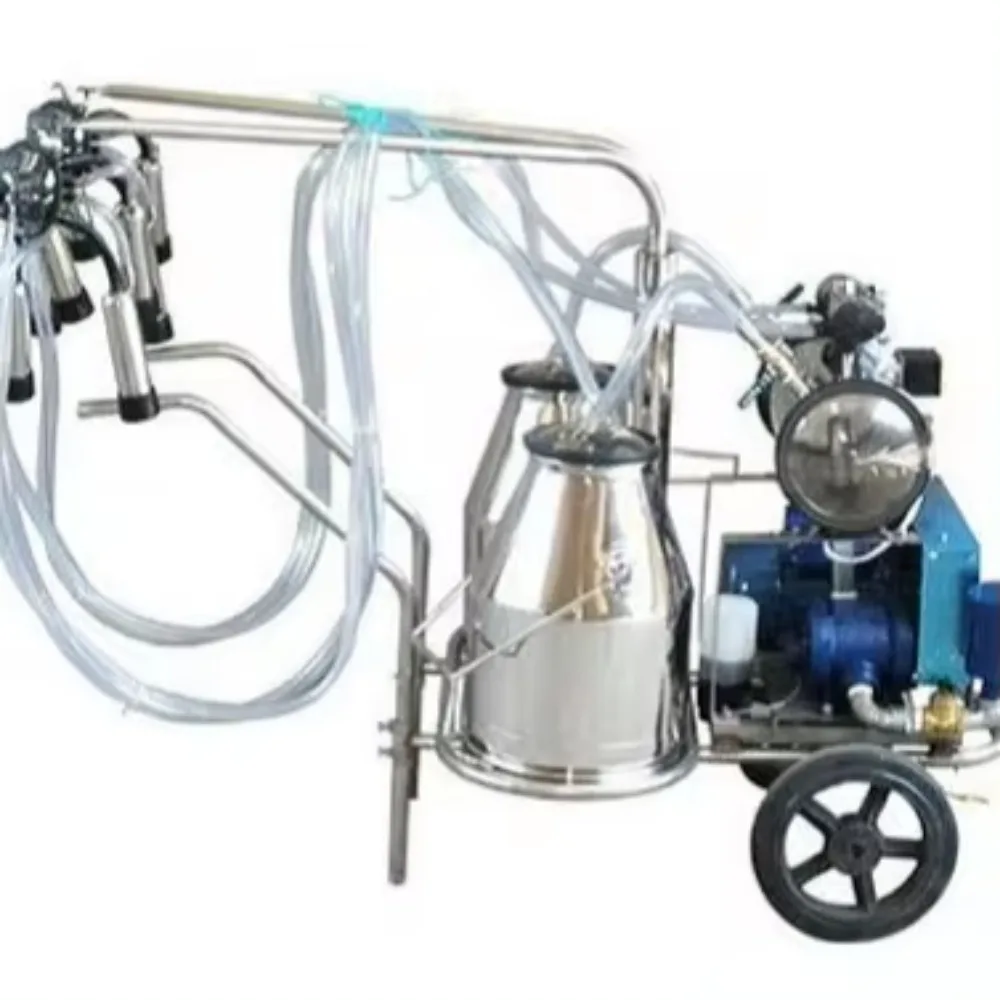 

Automatic cow milking machines for sale of dairy equipment