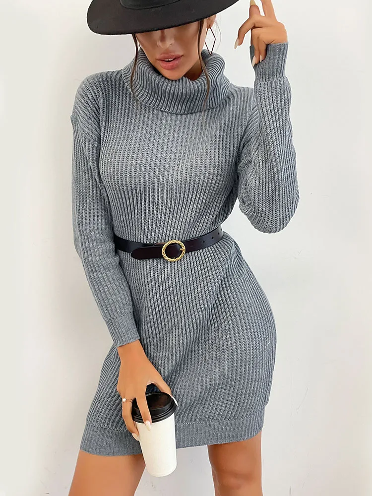 JIM & NORA Autumn Knit Sweater Dress Women Long Sleeve Turtleneck Soild Colour Mini Dresses Fashion Loose Warm Vestidos Casual