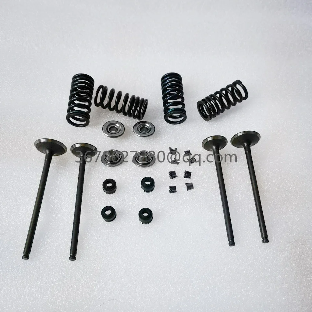valves and spring kit for Daytona 190 or 212 4 valves engines