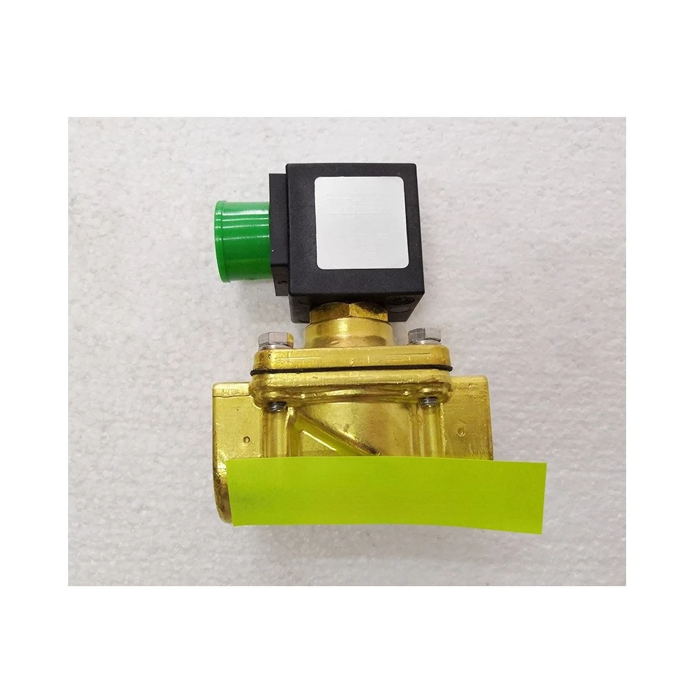 ODE 21HT5K0Y160 110VAC solenoid valve