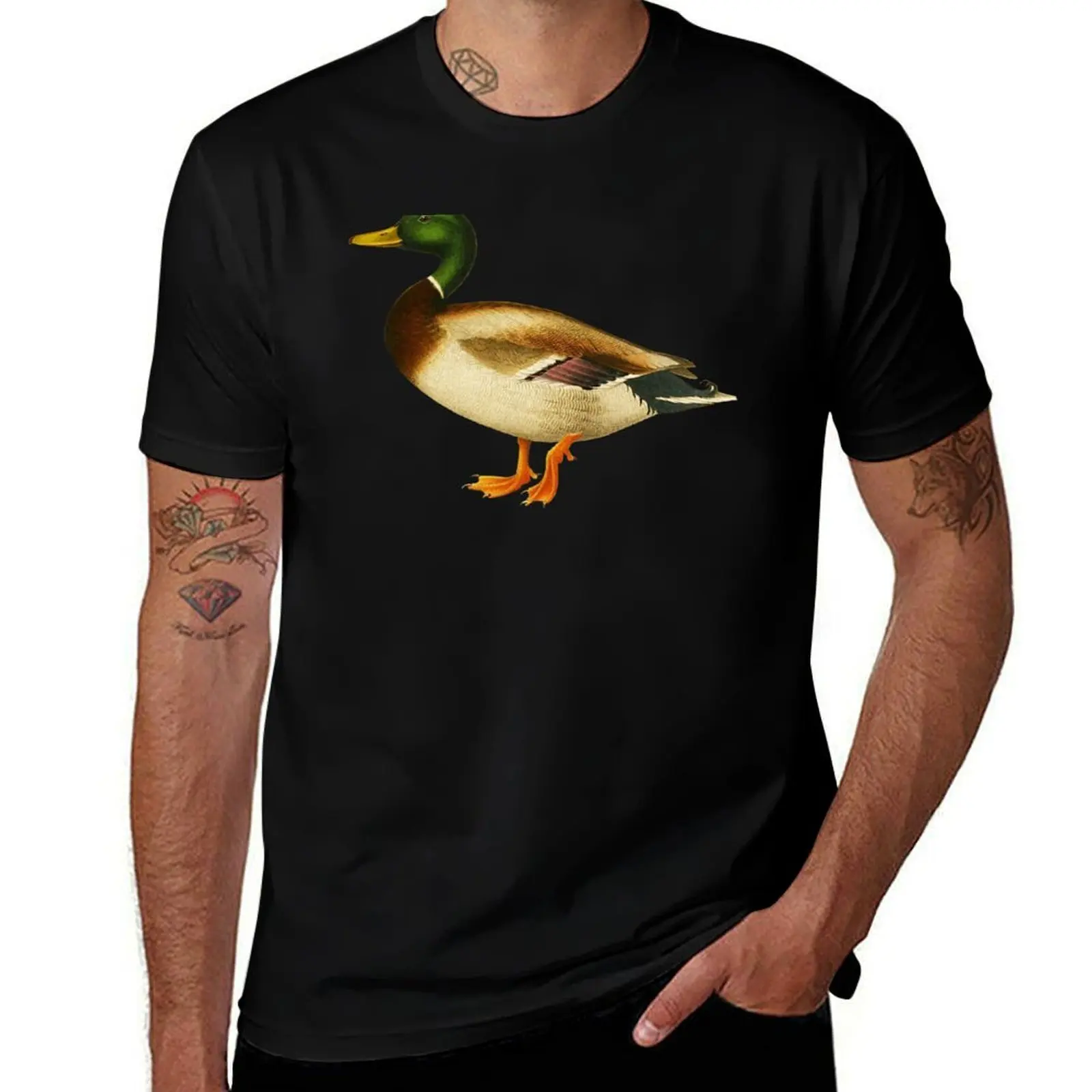

Mallard Duck Cute Wild Duck Lover Ducky T-Shirt t shirts for man slim fit t shirts for man cotton T-Shirt