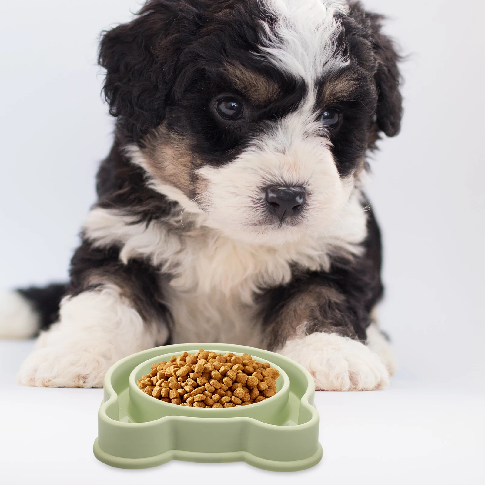 

Bowl Slow Feeder Lovely Wear-resistant Pet Food Bowls Shallow Green Anti-choking Promote Healthy Eating Prevent