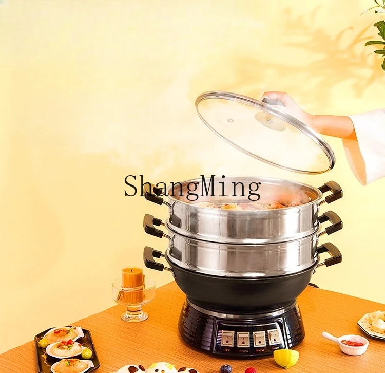 ZYY wok elettrico in ghisa non rivestito wok elettrico multifunzionale domestico integrato