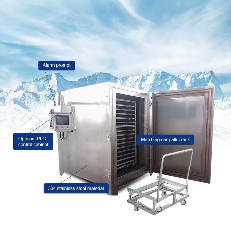Professional Instant Quick Freezer Chicken Meat Industrial Liquid Nitrogen Cabinet  Blast Freezer Customized