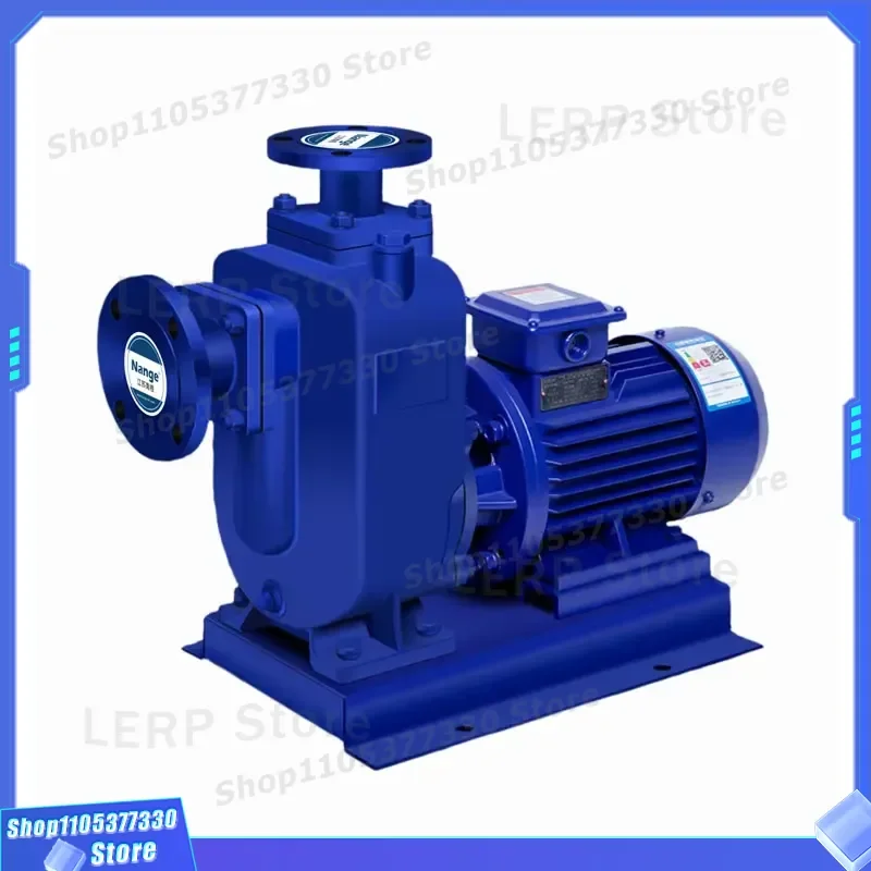 CNP 5HP Horizontal Multistage Centrifugal Pump Stainless Steel High Pressure Booster Variable Frequency Drive Clear Water 3