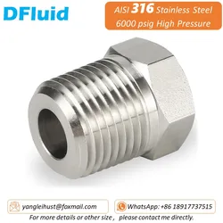 SUS 316 Reducing Bushing NPT BSP BSPT 1/8