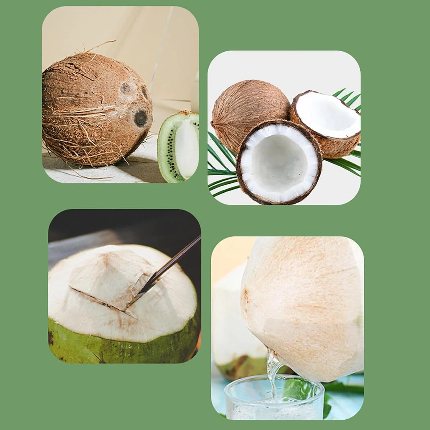 Скребок для мяса из нержавеющей стали с деревянной ручкой - инструмент для удаления мяса