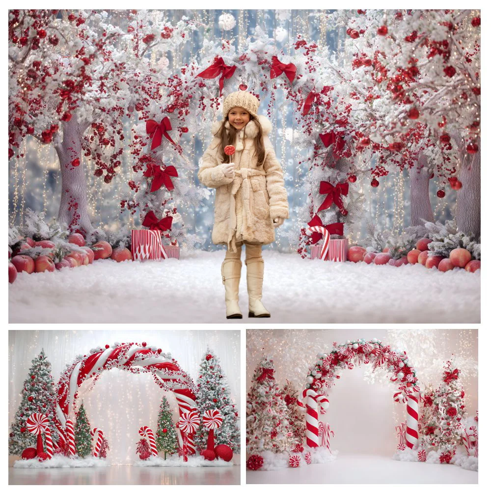 Winter Christmas Backdrop for Photography Arch Wreath Holly Leaves Candy Cane Xmas Kids Portrait Photo Background Photo Studio