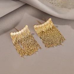 Elegant tassel earrings light luxury and niche design high-end chain earrings exquisite women's accessories