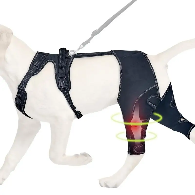 

Обновленная защищает повязка от артрита для собак, защитный чехол, поддержка ног для собак, бандаж для суставов, восстановление после травм собак, наколенники для домашних животных