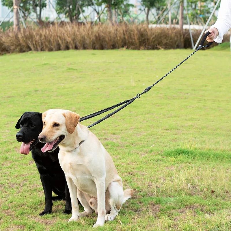 2026 Dual Dog Leash 360° Swivel Anti-Tangle Shock Absorbing Bungee Walking Lead Soft Handle Rope for Two Medium Large Dogs