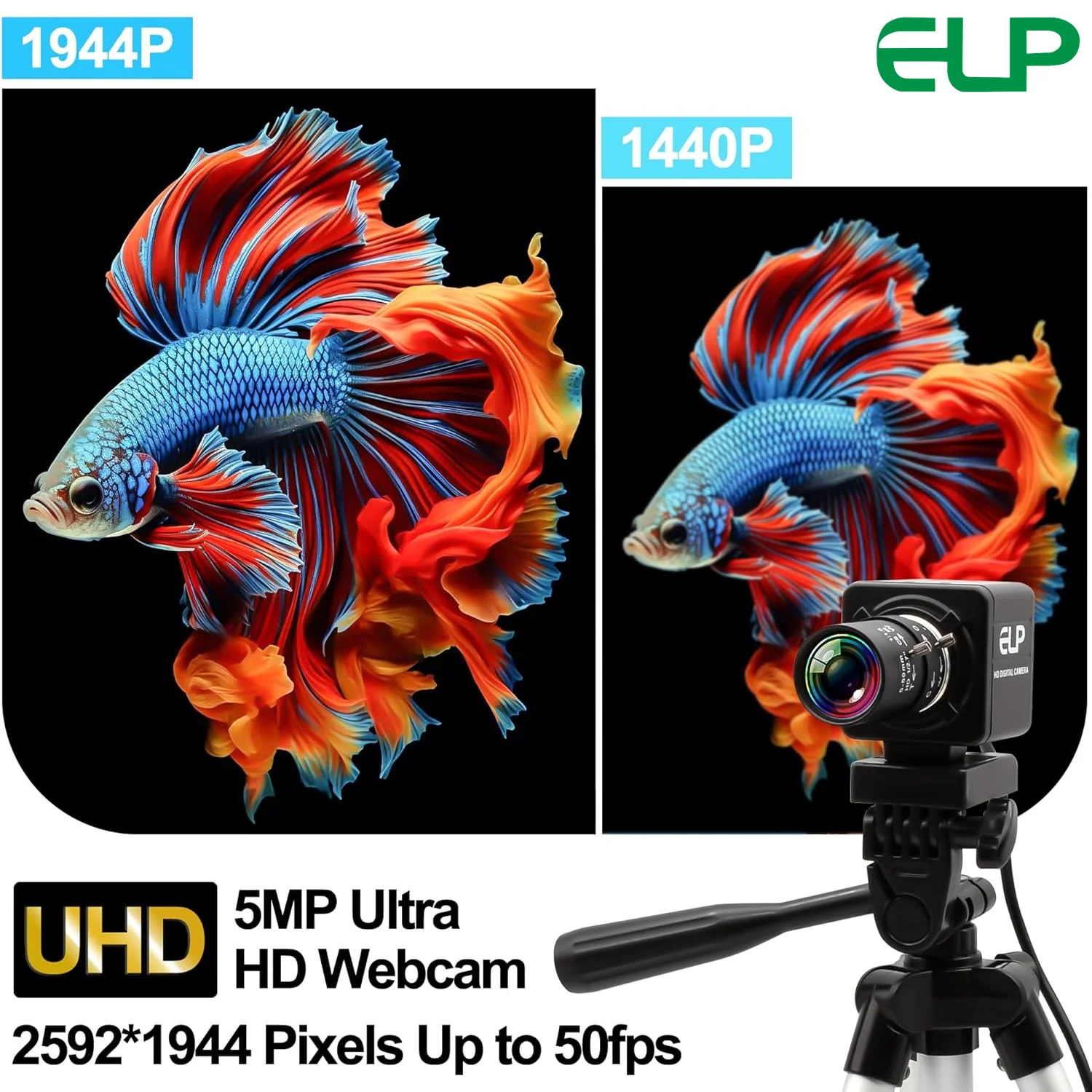 Global Shutter 5MP Varifocal CS Lens 5-50mm 10X Zoom USB Camera High Speed 60fps Industrial Webcam for Moving Objects